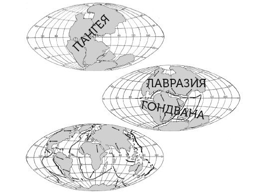 Иллюстрация к книге — Краткая история динозавров [i_004.jpg]