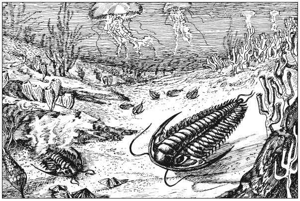 Иллюстрация к книге — Краткая история динозавров [i_006.jpg]