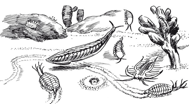 Иллюстрация к книге — Краткая история динозавров [i_008.jpg]