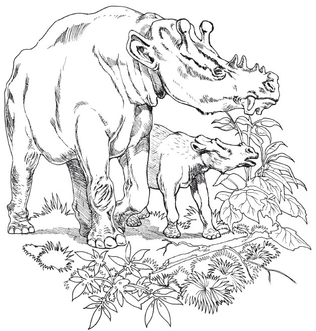 Иллюстрация к книге — Краткая история динозавров [i_018.jpg]