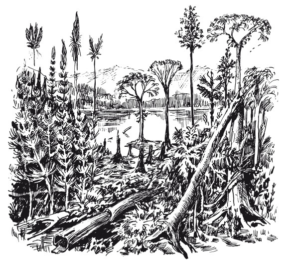 Иллюстрация к книге — Краткая история динозавров [i_020.jpg]