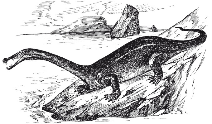 Иллюстрация к книге — Краткая история динозавров [i_030.jpg]