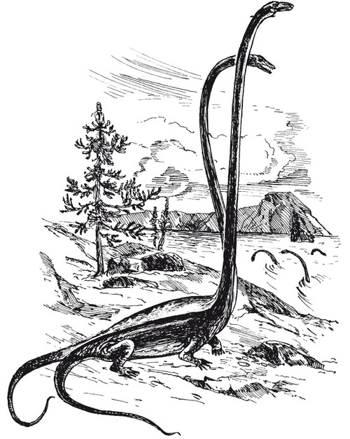 Иллюстрация к книге — Краткая история динозавров [i_034.jpg]