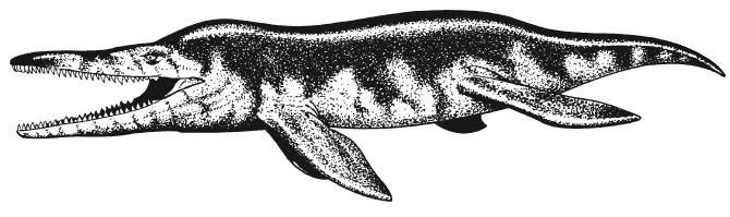 Иллюстрация к книге — Краткая история динозавров [i_040.jpg]