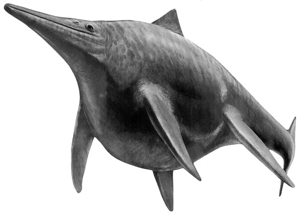 Иллюстрация к книге — Краткая история динозавров [i_042.jpg]