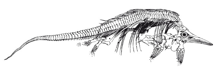 Иллюстрация к книге — Краткая история динозавров [i_044.jpg]
