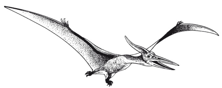 Иллюстрация к книге — Краткая история динозавров [i_056.jpg]