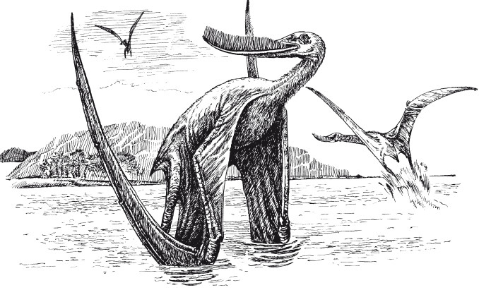 Иллюстрация к книге — Краткая история динозавров [i_057.jpg]