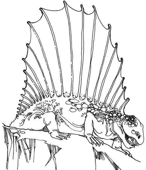 Иллюстрация к книге — Краткая история динозавров [i_061.jpg]