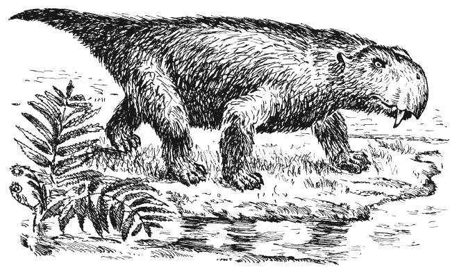 Иллюстрация к книге — Краткая история динозавров [i_062.jpg]