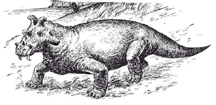 Иллюстрация к книге — Краткая история динозавров [i_063.jpg]