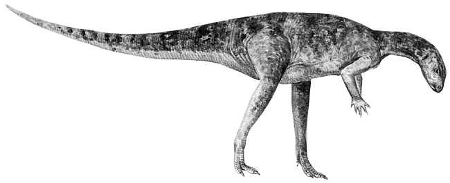 Иллюстрация к книге — Краткая история динозавров [i_069.jpg]