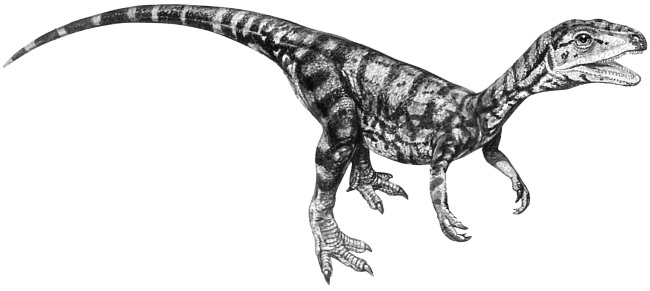 Иллюстрация к книге — Краткая история динозавров [i_071.jpg]