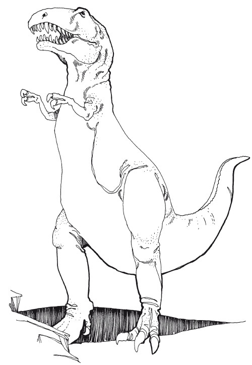 Иллюстрация к книге — Краткая история динозавров [i_079.jpg]