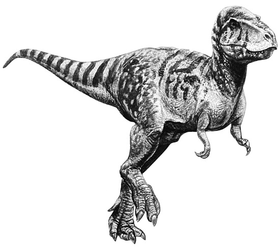 Иллюстрация к книге — Краткая история динозавров [i_080.jpg]