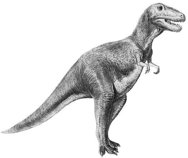 Иллюстрация к книге — Краткая история динозавров [i_082.jpg]