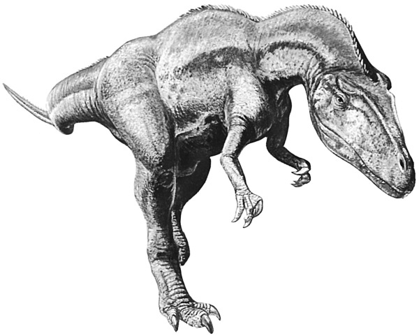 Иллюстрация к книге — Краткая история динозавров [i_083.jpg]