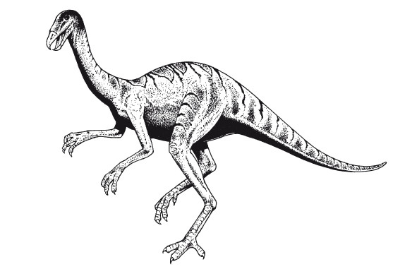 Иллюстрация к книге — Краткая история динозавров [i_090.jpg]