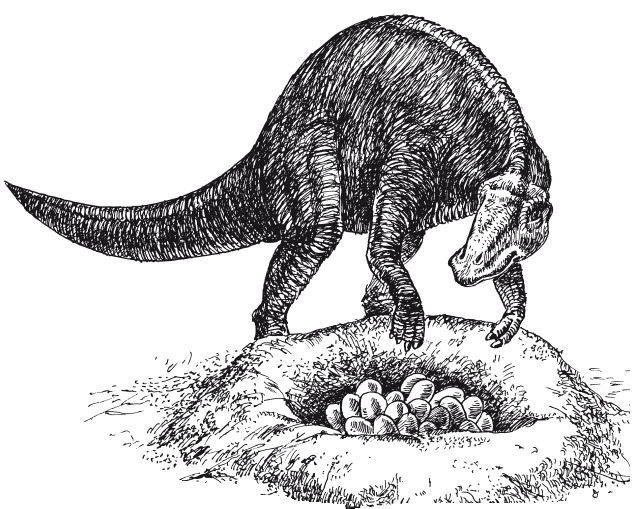 Иллюстрация к книге — Краткая история динозавров [i_096.jpg]