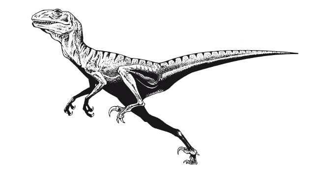 Иллюстрация к книге — Краткая история динозавров [i_098.jpg]