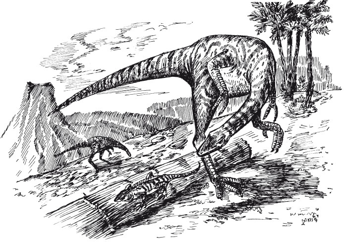 Иллюстрация к книге — Краткая история динозавров [i_102.jpg]