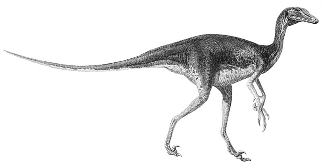 Иллюстрация к книге — Краткая история динозавров [i_105.jpg]