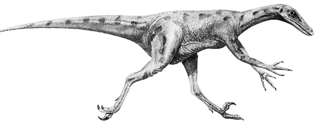 Иллюстрация к книге — Краткая история динозавров [i_106.jpg]