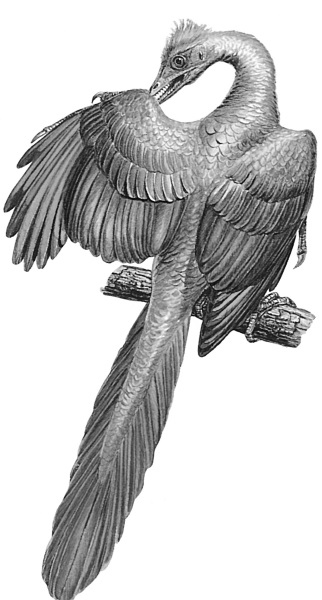 Иллюстрация к книге — Краткая история динозавров [i_107.jpg]