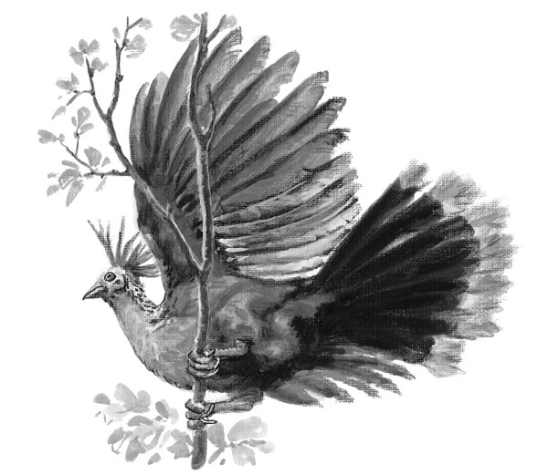 Иллюстрация к книге — Краткая история динозавров [i_108.jpg]