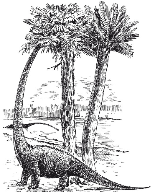 Иллюстрация к книге — Краткая история динозавров [i_111.jpg]