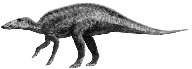 Иллюстрация к книге — Краткая история динозавров [i_115.jpg]