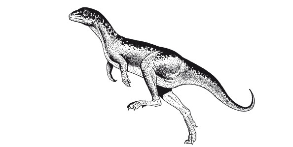 Иллюстрация к книге — Краткая история динозавров [i_122.jpg]