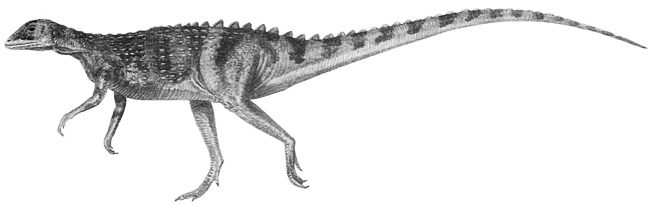 Иллюстрация к книге — Краткая история динозавров [i_123.jpg]