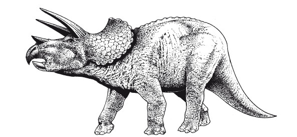 Иллюстрация к книге — Краткая история динозавров [i_127.jpg]