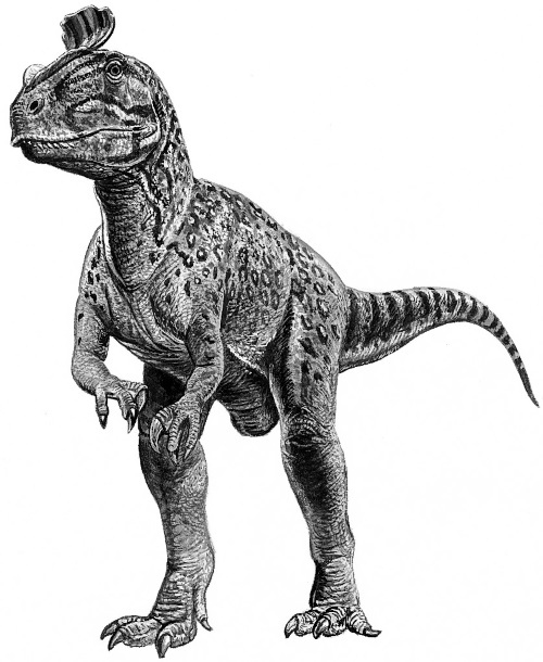 Иллюстрация к книге — Краткая история динозавров [i_134.jpg]