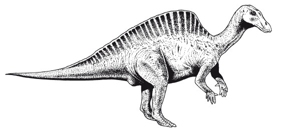 Иллюстрация к книге — Краткая история динозавров [i_137.jpg]