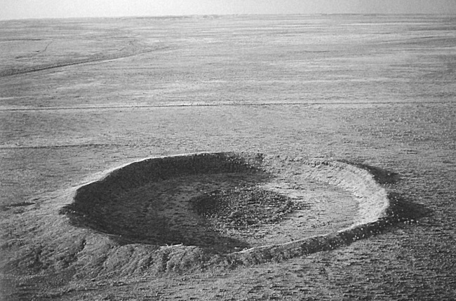 Иллюстрация к книге — Краткая история динозавров [i_141.jpg]