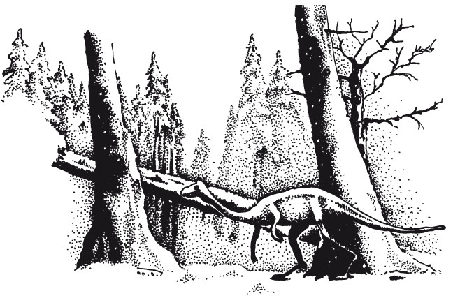 Иллюстрация к книге — Краткая история динозавров [i_143.jpg]