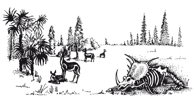 Иллюстрация к книге — Краткая история динозавров [i_144.jpg]