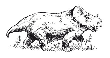 Иллюстрация к книге — Краткая история динозавров [i_146.jpg]