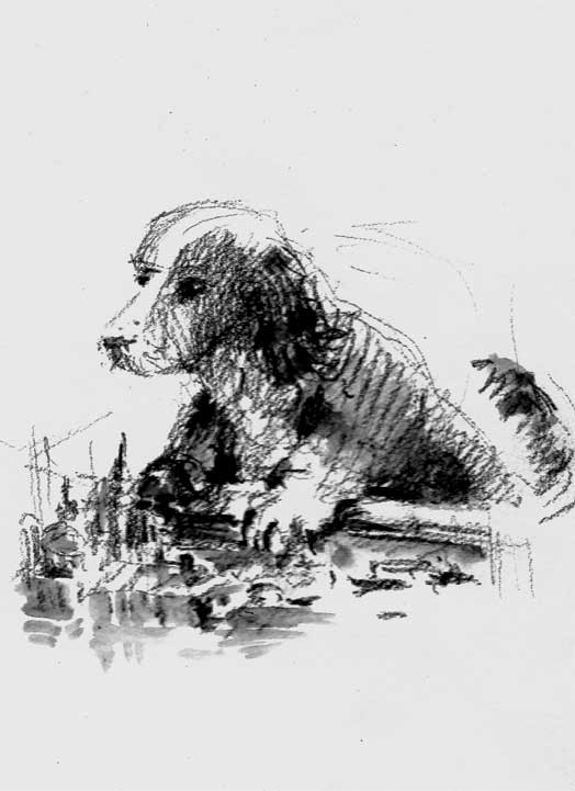 Иллюстрация к книге — Венеция. Карантинные хроники [i_007.jpg]