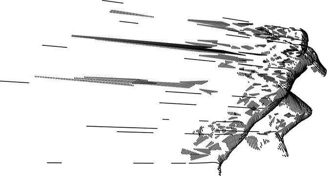 Иллюстрация к книге — Утраченное искусство бега. Путешествие в забытую сущность человеческого движения [i_001.jpg]