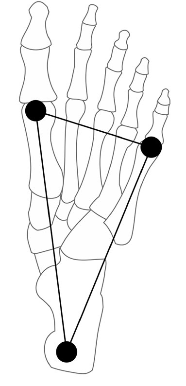 Иллюстрация к книге — Утраченное искусство бега. Путешествие в забытую сущность человеческого движения [i_005.jpg]