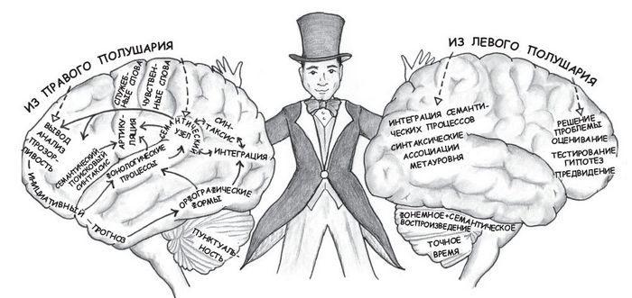 Иллюстрация к книге — Читающий мозг в цифровом мире [i_005.jpg]