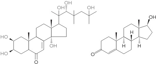 Иллюстрация к книге — Его величество тестостерон. Путеводитель по жизни, полной сил [i_032.jpg]