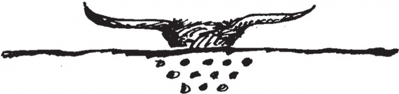 Иллюстрация к книге — Совершенно не обязательные смерти [b00002062.jpg]