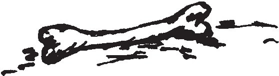 Иллюстрация к книге — Совершенно не обязательные смерти [b00004536.jpg]