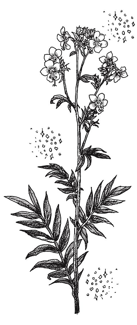 Иллюстрация к книге — Совершенно не обязательные смерти [img01bfb94c62c1425f8ebabd281570dadc.jpg]