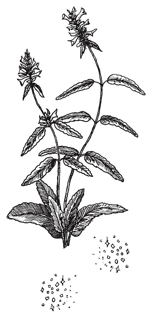 Иллюстрация к книге — Совершенно не обязательные смерти [img052337c8a5ad4a4ba3ad4312c158440e.jpg]