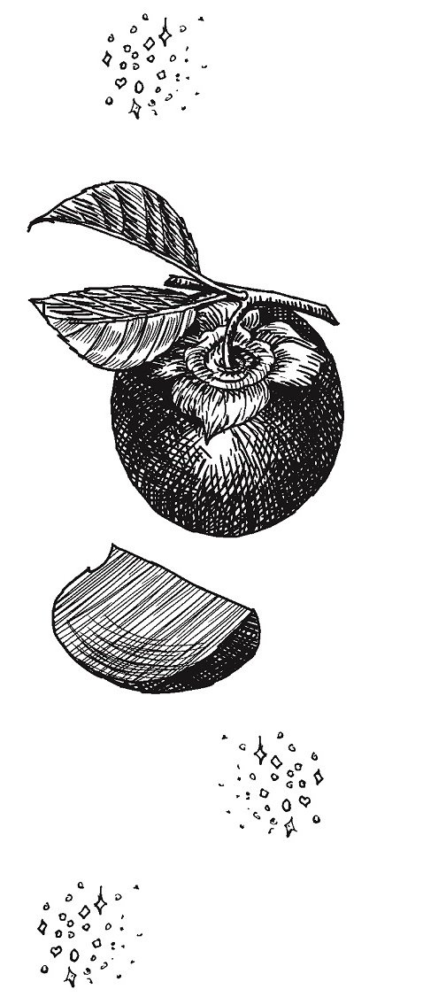 Иллюстрация к книге — Совершенно не обязательные смерти [img0b5339015d7b4d2386158e11caf09327.jpg]